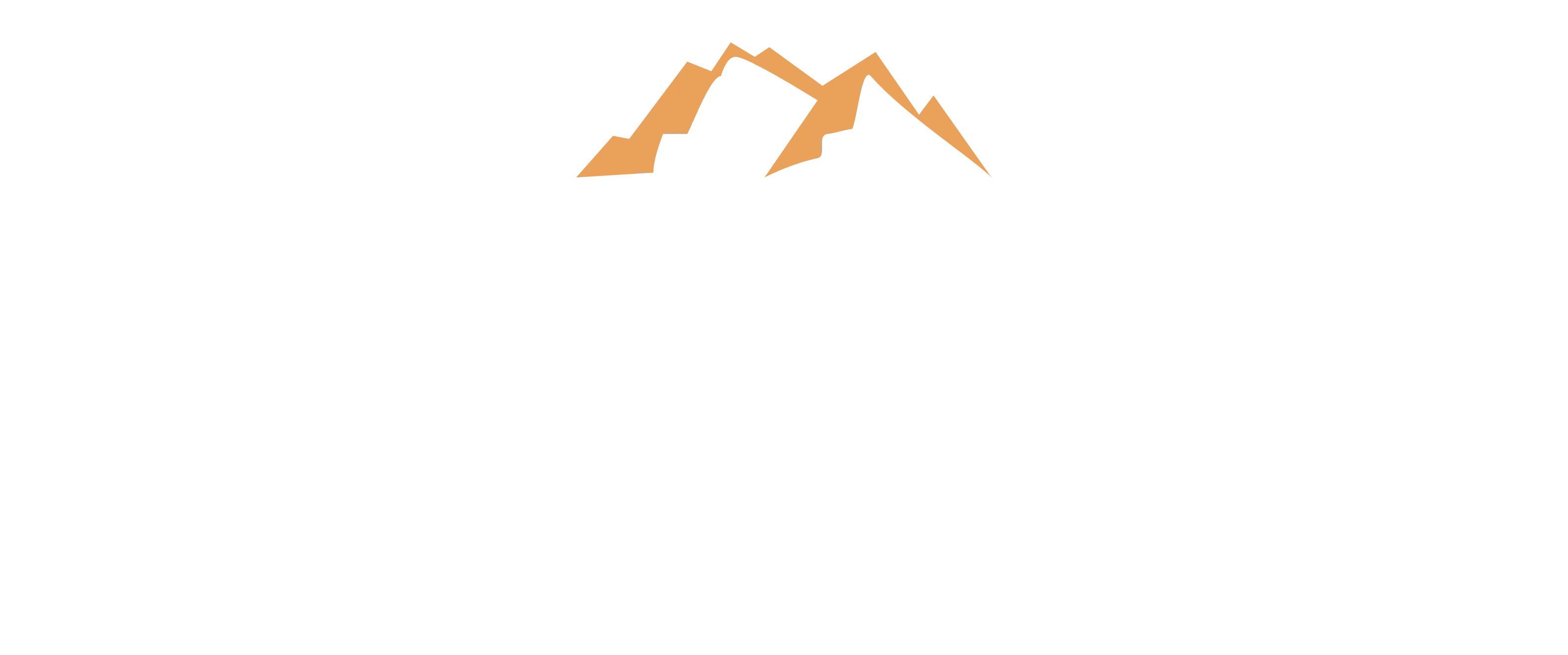 Kungen Consulting logo with text and slogan